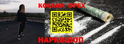 PSILOCYBIN Гатчина