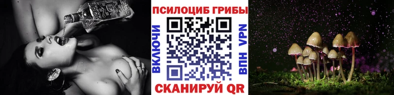 Псилоцибиновые грибы Magic Shrooms  кракен ссылки  Когалым 
