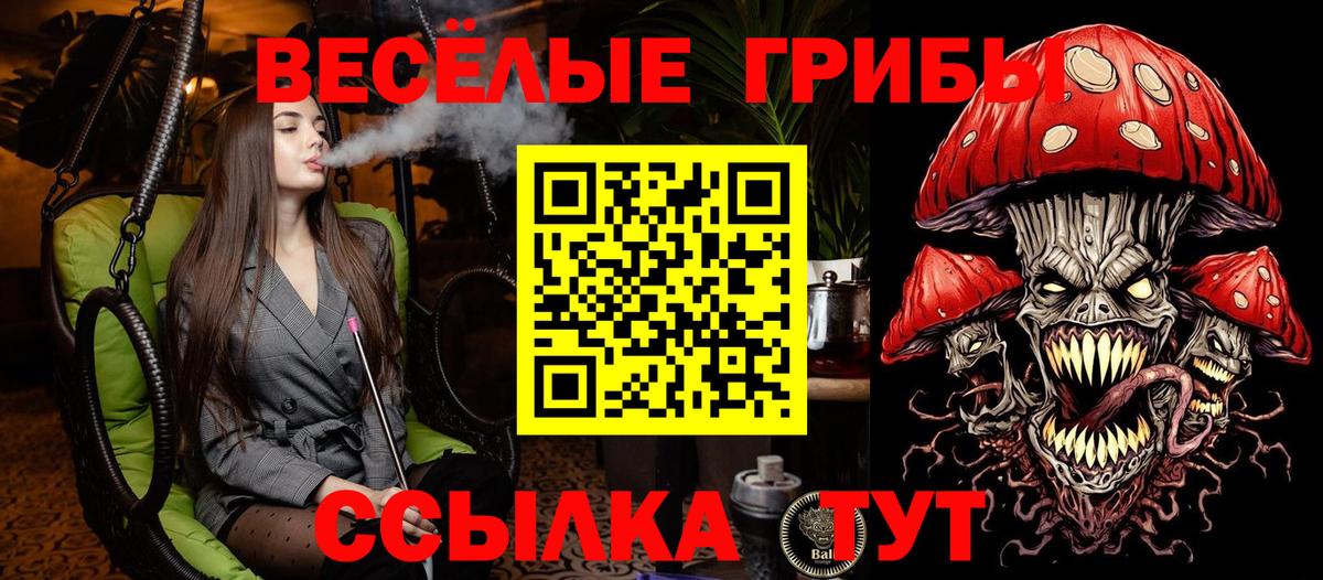 Когалым  Псилоцибиновые грибы MAGIC MUSHROOMS  Вход с VPN  Псилоцибиновые грибы ЛСД 
