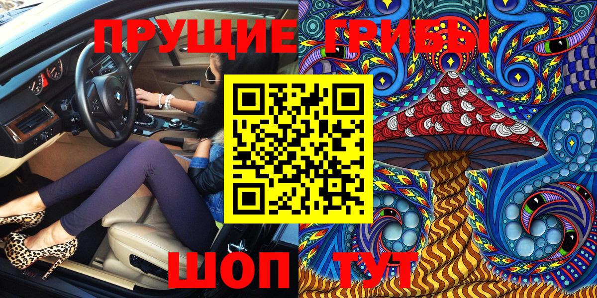 Псилоцибиновые грибы Cubensis Когалым